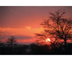 Sunset at Kwando River Aluminum Water Bottle