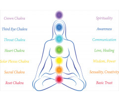 7 Main Chakra Meanings Aluminum Water Bottle