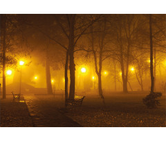 Foggy Evening in the Park Aluminum Water Bottle