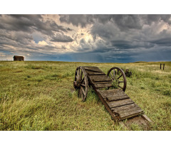 Prairie Cart Aluminum Water Bottle