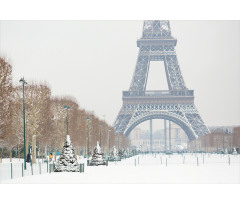 Eiffel Tower in Snow Aluminum Water Bottle