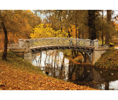 Old Bridge in Fall Forest Aluminum Water Bottle