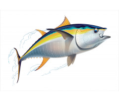 Realistic Yellowfin Tuna Aluminum Water Bottle