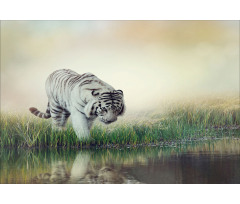 Albino Tiger Near a River Aluminum Water Bottle