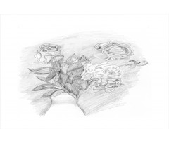 Pencil Drawing of Roses Aluminum Water Bottle