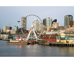 Elliott Bay Scenery Aluminum Water Bottle