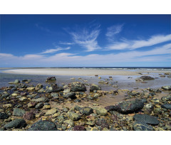 Plum Island Beach Aluminum Water Bottle