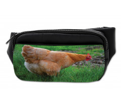 Chicken on Grass Farm Photo Bumbag