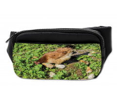 Animals on Shamrocks Bumbag