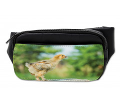 Little Baby Chicken on Log Bumbag