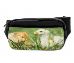 Close up Photo Baby Chickens Bumbag