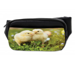 Baby Chickens Photo Bumbag