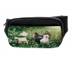 Little Chickens in Daisies Bumbag