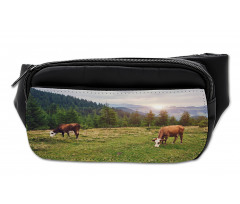 Cows Grazing in Meadow Bumbag