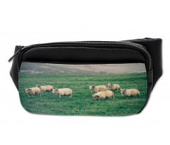 Sheep Grazing on Grass Bumbag