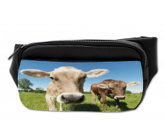 Close up Cows Bumbag