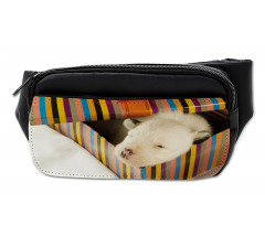 Newborn Dog in Gift Box Photo Bumbag