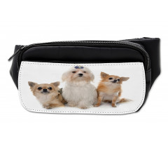 Chihuahua and Maltese Dogs Bumbag