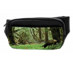 Roosevelt Elk in Park Bumbag