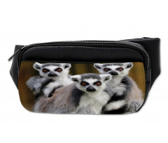 Ring Tailed Monkey Animals Bumbag