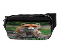 Young Coyote Photo Bumbag