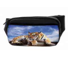 Tiger on Wood Wildlife Bumbag