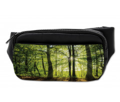 Sunny Forest Springtime Bumbag