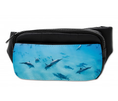 Dolphins Hawaii Ocean Bumbag