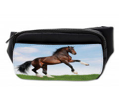 Horse Pacing on Grass Bumbag