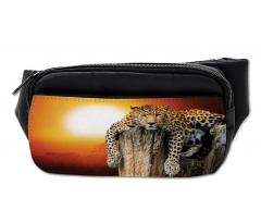 Safari Leopard on Tree Bumbag