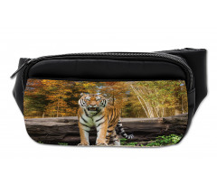 Tiger in Forest Bumbag