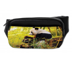 Panda Sitting in Forest Bumbag