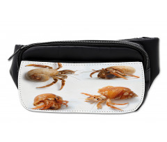 Hermit Crabs Pattern Bumbag