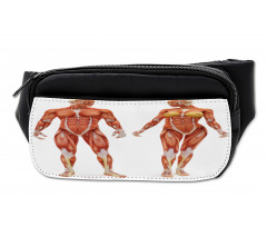 Male Human Body Bumbag