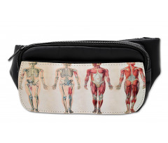 Anatomy Human Body Bumbag