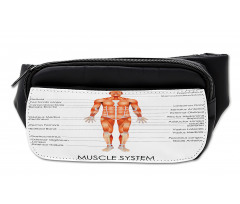 Biology Muscle System Bumbag