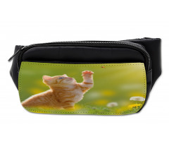 Ladybug Cats Dandelions Bumbag