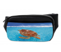 Chelonia Water Surface Bumbag