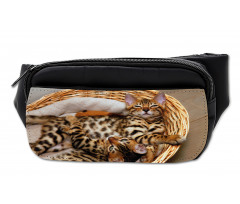 Bengal Cats in Basket Bumbag