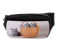 British Cats in Basket Bumbag