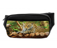 Jaguar on Wood Wild Feline Bumbag