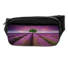 Lavender Fields and Tree Bumbag