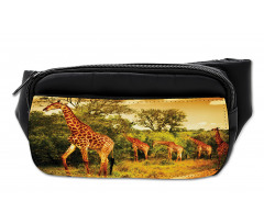 Safari Animals Bumbag