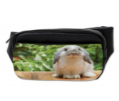 Photo of Holland Lop Rabbit Bumbag