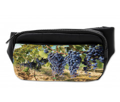 Rows of Wine Fruits in Italy Bumbag