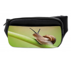 Garden Animal on Stem Plant Bumbag