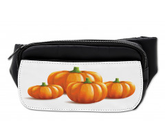 Fall Season Fruits Bumbag