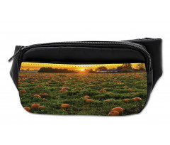 Fall Patch at Sunset Bumbag