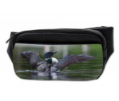 Image of Common Loon on Water Bumbag