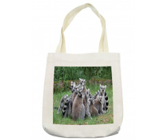 Ring Tailed Madagascar Monkey Tote Bag